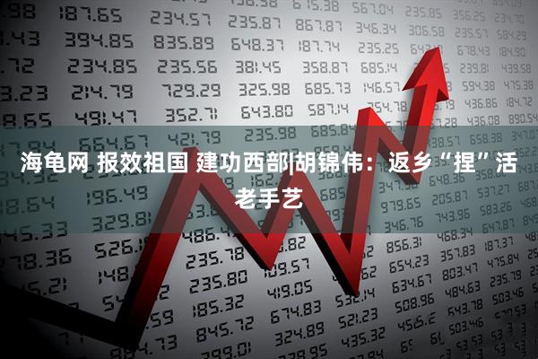 海龟网 报效祖国 建功西部|胡锦伟：返乡“捏”活老手艺