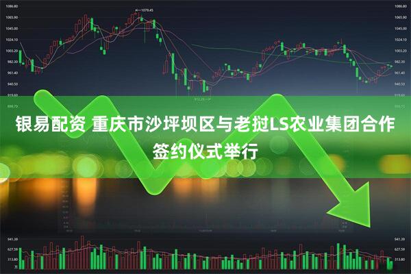 银易配资 重庆市沙坪坝区与老挝LS农业集团合作签约仪式举行