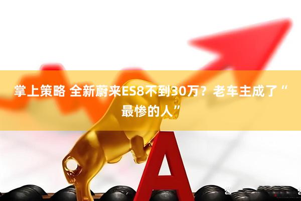 掌上策略 全新蔚来ES8不到30万？老车主成了“最惨的人”