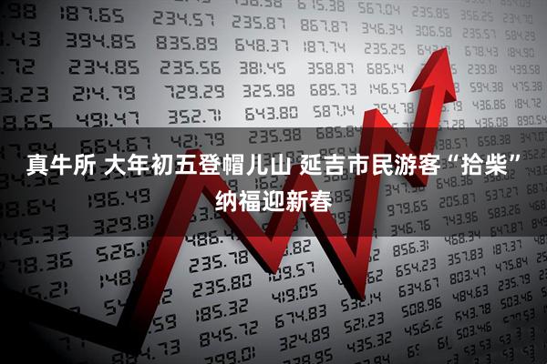 真牛所 大年初五登帽儿山 延吉市民游客“拾柴”纳福迎新春